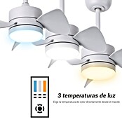 Sulion Ventilador de techo Windsor (Marrón, 51 cm, 18 W, Blanco cálido) | BAUHAUS