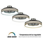 Sulion Ventilador de techo Indri (Negro, 53 cm, 38 W, Blanco cálido) | BAUHAUS