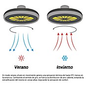 Sulion Ventilador de techo Indri (Negro, 53 cm, 38 W, Blanco cálido) | BAUHAUS
