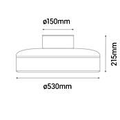 Sulion Ventilador de techo Indri (Negro, 53 cm, 38 W, Blanco cálido) | BAUHAUS