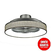 Sulion Ventilador de techo Indri (Negro, 53 cm, 38 W, Blanco cálido) | BAUHAUS