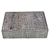 Pflasterstein Piazza (L x B x S: 15 x 15 x 5 cm, Muschelkalk, Beton)