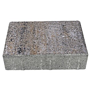 Seesteiner Pflasterstein Piazza (L x B x S: 15 x 15 x 5 cm, Muschelkalk, Beton)