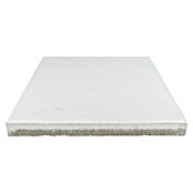 Seesteiner Terrassenplatte (40 x 40 x 3,8 cm, Weiß, Beton) | BAUHAUS