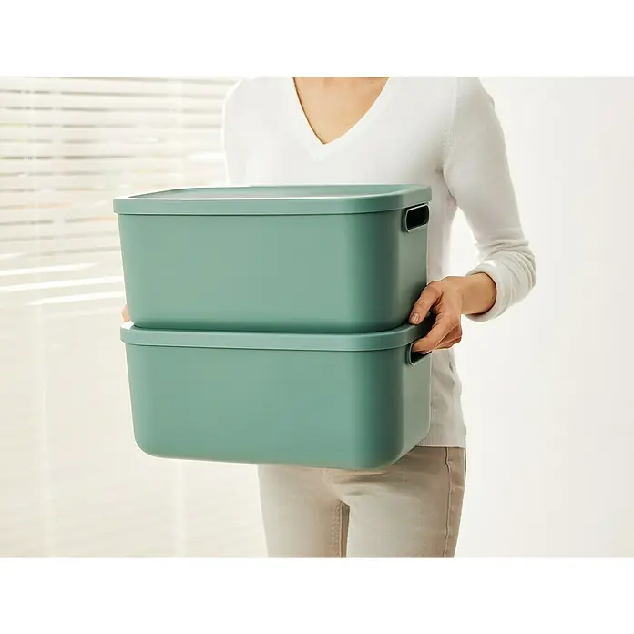 Rotho Aufbewahrungsbox - L x B x H: 39,2 x 23,5 x 17,7 cm, Kunststoff, Mistelzweiggrün, 12 l - Eine Person hält zwei mintgrüne Aufbewahrungsboxen mit Deckel in den Händen, ideal für Ordnung und Stauraum im Haushalt.