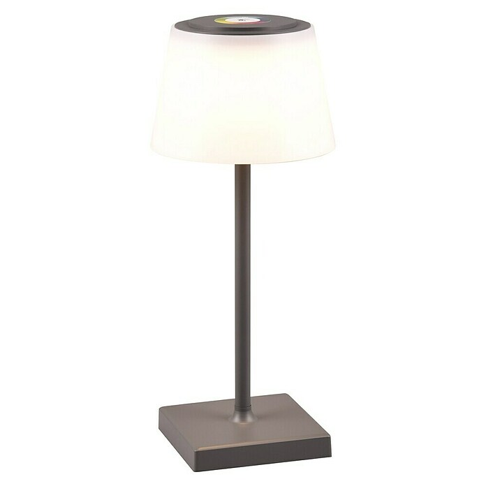 Reality Leuchten LED-Tischleuchte Sanchez (L x B x H: 13 x 13 x 30 cm, Anthrazit) | BAUHAUS