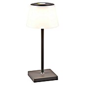Reality Leuchten LED-Tischleuchte Sanchez (L x B x H: 13 x 13 x 30 cm, Anthrazit) | BAUHAUS