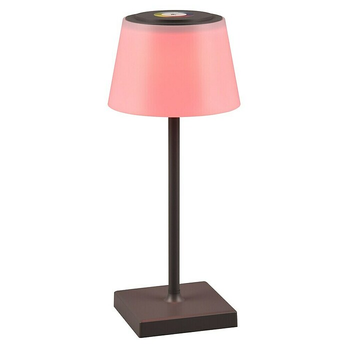 Reality Leuchten LED-Tischleuchte Sanchez (L x B x H: 13 x 13 x 30 cm, Anthrazit) | BAUHAUS