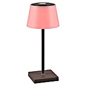 Reality Leuchten LED-Tischleuchte Sanchez (L x B x H: 13 x 13 x 30 cm, Anthrazit) | BAUHAUS