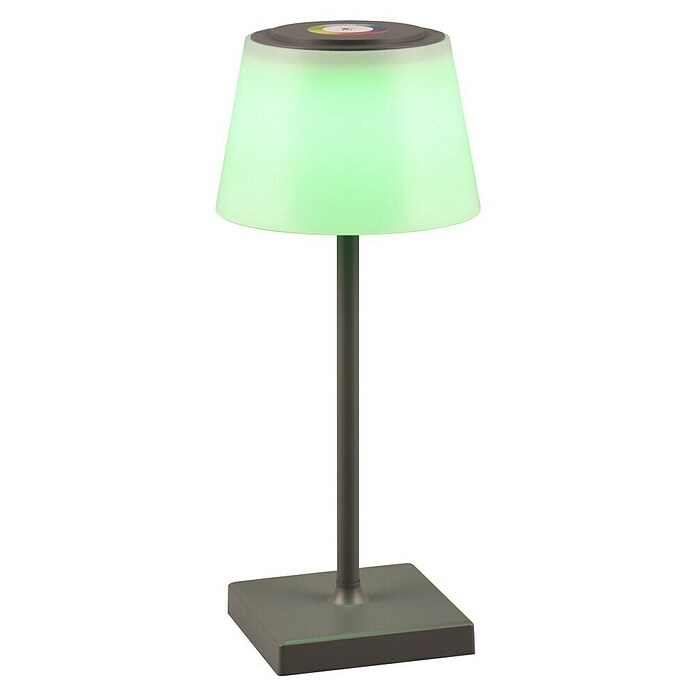 Reality Leuchten LED-Tischleuchte Sanchez (L x B x H: 13 x 13 x 30 cm, Anthrazit) | BAUHAUS