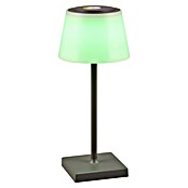 Reality Leuchten LED-Tischleuchte Sanchez (L x B x H: 13 x 13 x 30 cm, Anthrazit) | BAUHAUS