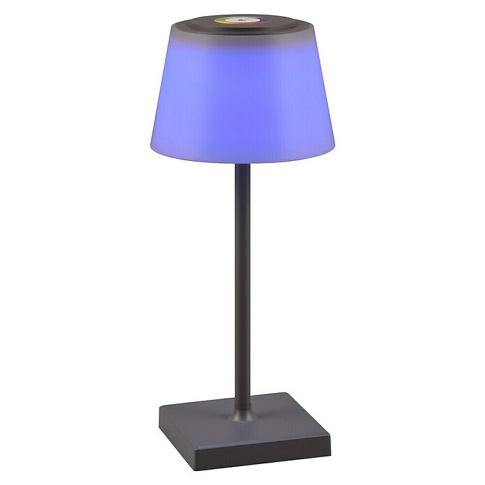 Reality Leuchten LED-Tischleuchte Sanchez (L x B x H: 13 x 13 x 30 cm, Anthrazit) | BAUHAUS