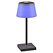 Reality Leuchten LED-Tischleuchte Sanchez (L x B x H: 13 x 13 x 30 cm, Anthrazit) | BAUHAUS