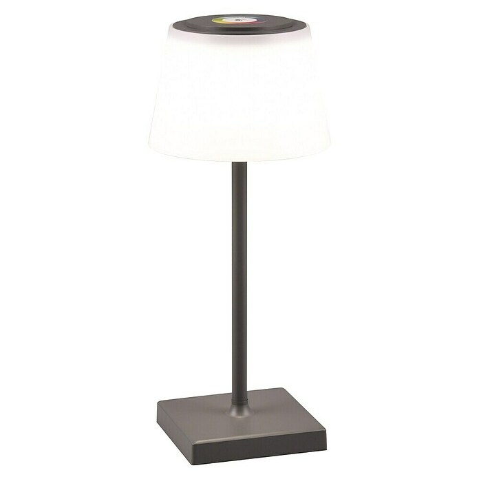 Reality Leuchten LED-Tischleuchte Sanchez (L x B x H: 13 x 13 x 30 cm, Anthrazit) | BAUHAUS