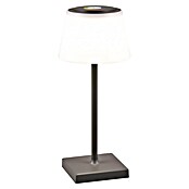 Reality Leuchten LED-Tischleuchte Sanchez (L x B x H: 13 x 13 x 30 cm, Anthrazit) | BAUHAUS
