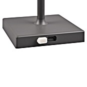Reality Leuchten LED-Tischleuchte Sanchez (L x B x H: 13 x 13 x 30 cm, Anthrazit) | BAUHAUS