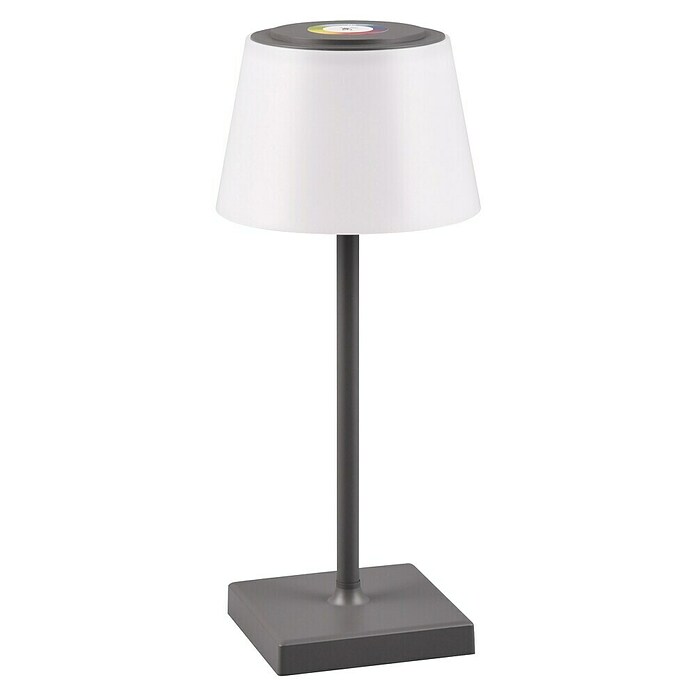 Reality Leuchten LED-Tischleuchte Sanchez (L x B x H: 13 x 13 x 30 cm, Anthrazit) | BAUHAUS