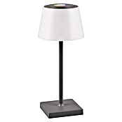 Reality Leuchten LED-Tischleuchte Sanchez (L x B x H: 13 x 13 x 30 cm, Anthrazit) | BAUHAUS