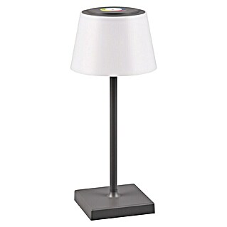 Reality Leuchten LED-Tischleuchte Sanchez (L x B x H: 13 x 13 x 30 cm, RGBW, Anthrazit)
