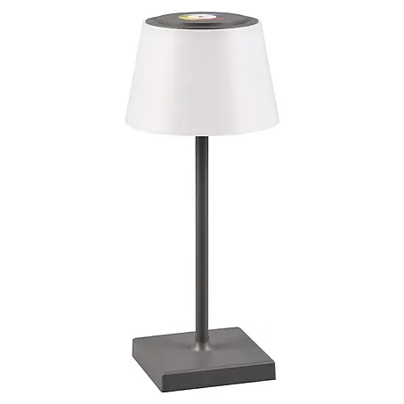 Reality Leuchten LED-Tischleuchte Sanchez