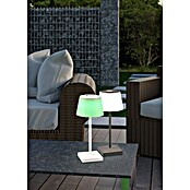 Reality Leuchten LED-Tischleuchte Sanchez (L x B x H: 13 x 13 x 30 cm, Weiß) | BAUHAUS