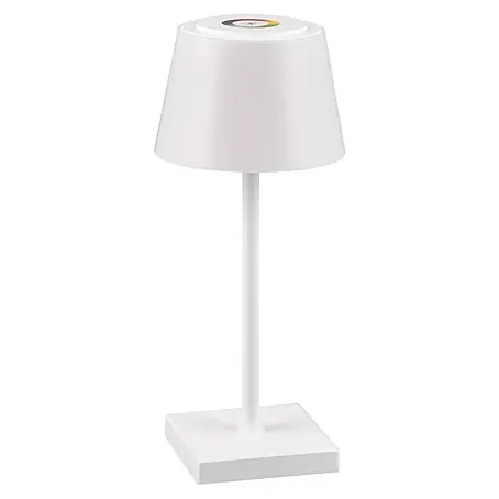 Reality Leuchten LED-Tischleuchte Sanchez