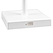 Reality Leuchten LED-Tischleuchte Sanchez (L x B x H: 13 x 13 x 30 cm, Weiß) | BAUHAUS