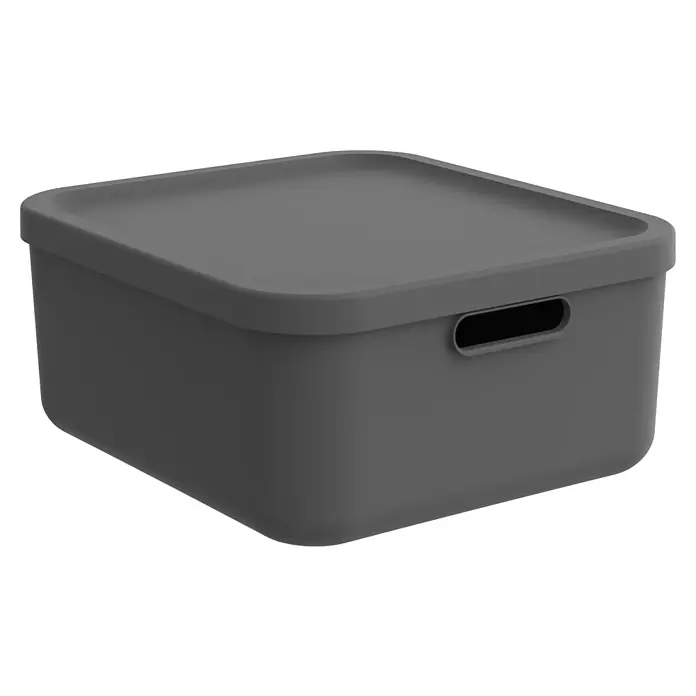 Rotho Aufbewahrungsbox - L x B x H: 39,5 x 35,5 x 17,7 cm, Kunststoff, Anthrazit, 20 l - Graue quadratische Aufbewahrungsbox mit Deckel und integriertem Griffausschnitt.