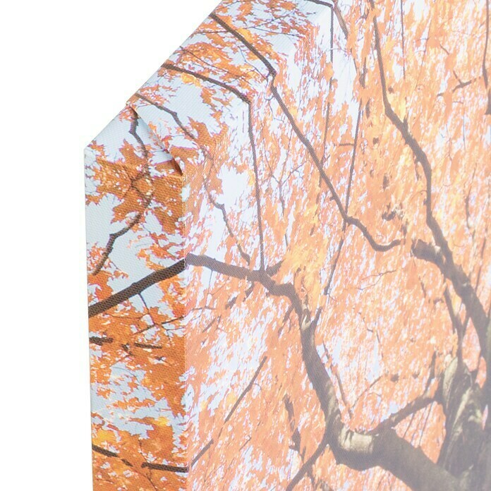 Impresión artística Trees leaves (Naturaleza, 45 x 45 cm)