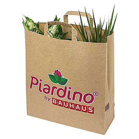 Piardino Zimmerpflanzen-Set (Topfgröße: 12 cm)