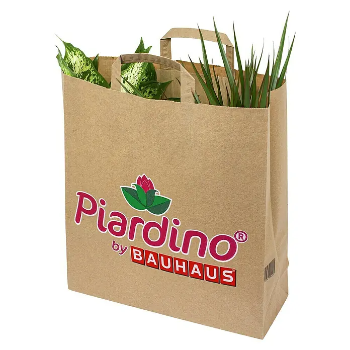 Piardino Zimmerpflanzen-Set - Topfgre: 12 cm online kaufen bei BAUHAUS
