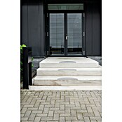 Hamat Trapmat Steel - Set (17,5 x 60 cm, Aluminium, Zilver) | BAUHAUS