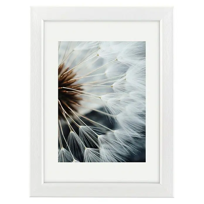 Hama Kunststoffrahmen Breeze - 15 x 20 cm, Weiß - Weiß gerahmtes Foto mit einer Nahaufnahme eines Pusteblumenkopfes mit flauschigen weißen Samen und dunklem braunem Zentrum.