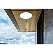 Tween Light LED okrogla stropna svetilka Massa  (24 W, Bela, Toplo bela) | 3016 - Deckenleuchte | CACB - Deckenleuchten | CAC - Indoorleuchten | CA - Beleuchtung | C - Elektro | BAUHAUS