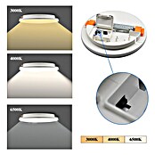 Tween Light LED okrogla stropna svetilka Massa  (24 W, Bela, Toplo bela) | 3016 - Deckenleuchte | CACB - Deckenleuchten | CAC - Indoorleuchten | CA - Beleuchtung | C - Elektro | BAUHAUS