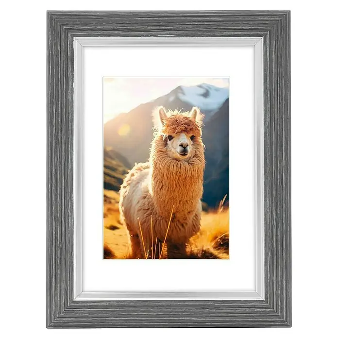 Hama Kunststoffrahmen Lima - 10 x 15 cm, Graphitgrau - Grauer Holzoptik-Bilderrahmen mit weißem Passepartout, mit Alpaka-Porträt.