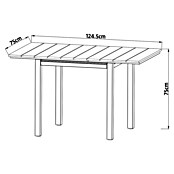 Sunfun Maja Vrtni stol  (D x Š x V: 75 x 74,5 x 75 cm, Tamno siva, Na izvlačenje) | BAUHAUS