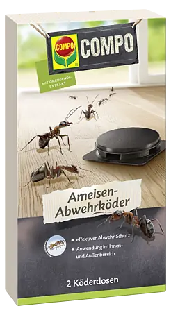 Compo Ameisenkder - 2 Stk. online kaufen bei BAUHAUS