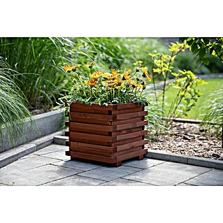 Pflanzkübel eckig Torino (Außenmaß (L x B x H): 34 x 34 x 34 cm, Holz, Teak)