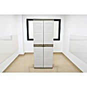 Plastiken Titanium Armario de PVC con 2 puertas (L x An x Al: 44 x 70 x 176 cm, Capacidad de carga: 20 kg/balda)
