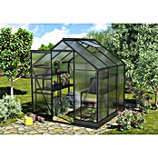 Vitavia Gewächshaus (1,99 x 1,95 x 2,07 m, Glasstärke: 6 mm, Polycarbonat, Anthrazit)