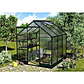 Vitavia Gewächshaus Apollo 3800 (1,99 x 1,95 x 2,07 m, Glasstärke: 6 mm, Polycarbonat, Smaragd)