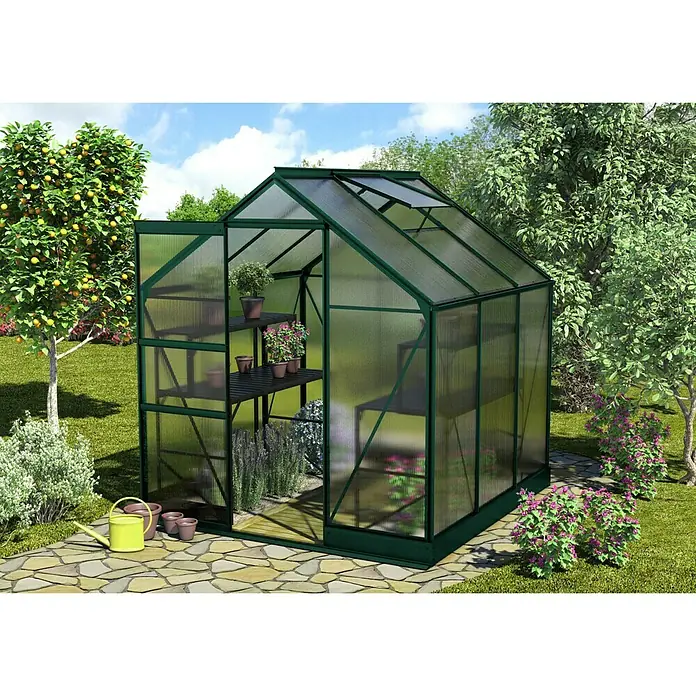 Vitavia Gewächshaus Apollo 3800 - Außenmaß inkl. Dachüberstand (B x T): 195 x 199 cm, 4 mm, Smaragd - Ein grünes Gewächshaus mit Pflanzenregalen im Garten, umgeben von Bäumen und einem gepflasterten Weg.