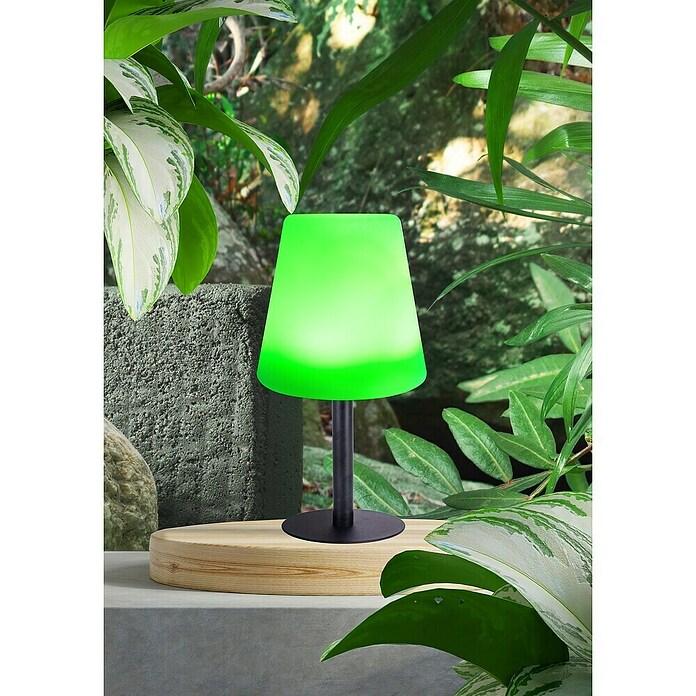 Globo Solar-tafellamp (Warm wit, IP44, Ø x h: 15 x 30 cm) | BAUHAUS