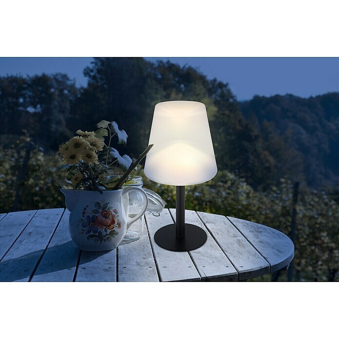 Globo Solar-tafellamp (Warm wit, IP44, Ø x h: 15 x 30 cm) | BAUHAUS
