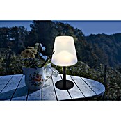 Globo Solar-tafellamp (Warm wit, IP44, Ø x h: 15 x 30 cm) | BAUHAUS
