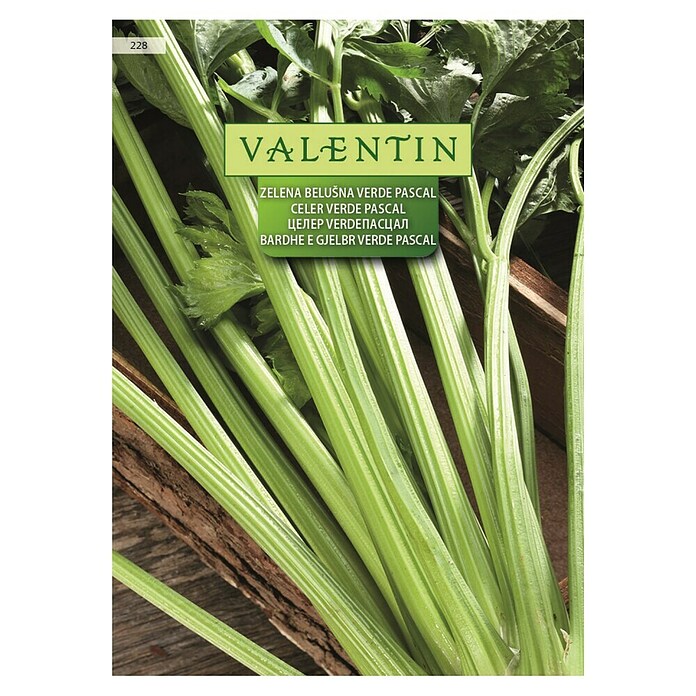Valentin Sjeme povrća Celer Verde Pascal  (Apium graveolens, Berba: Svibanj) | BAUHAUS