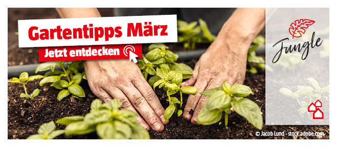 Gartentipps für März
