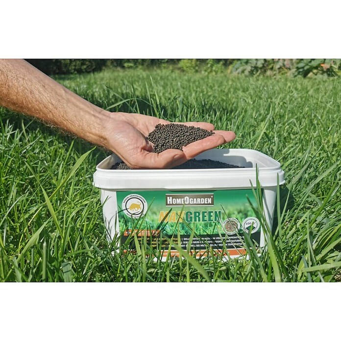 HomeOgarden Gnojilo za trato Maxgreen  (2,5 kg, Maksimalna površina pokrivanja: 100 m²) | 7512 - Gartendünger organisch | IAHC - Dünger | IAH - Dünger / Pflanzenschutz | IA - Gartenhartware | I - Stadtgarten | BAUHAUS