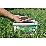 HomeOgarden Gnojilo za trato Maxgreen  (2,5 kg, Maksimalna površina pokrivanja: 100 m²) | 7512 - Gartendünger organisch | IAHC - Dünger | IAH - Dünger / Pflanzenschutz | IA - Gartenhartware | I - Stadtgarten | BAUHAUS